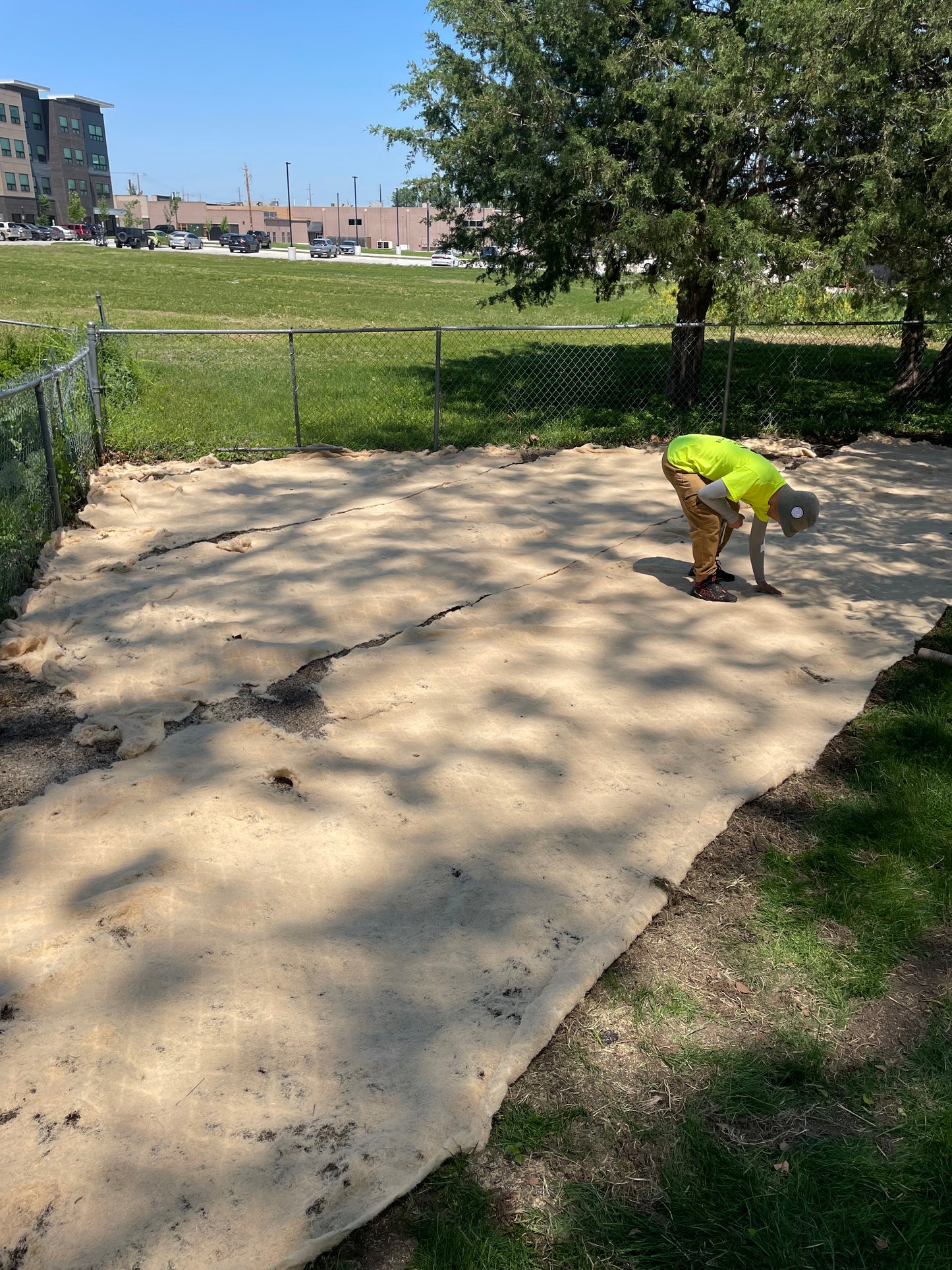 Sod Installation & Grass Seed