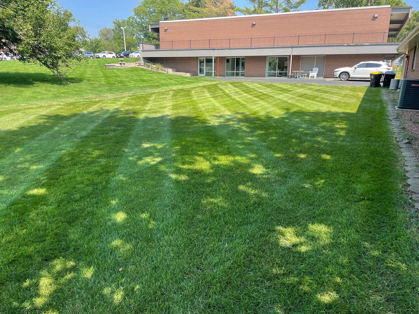 Mowing & Trimming