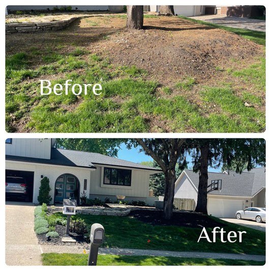 Yard Transformation